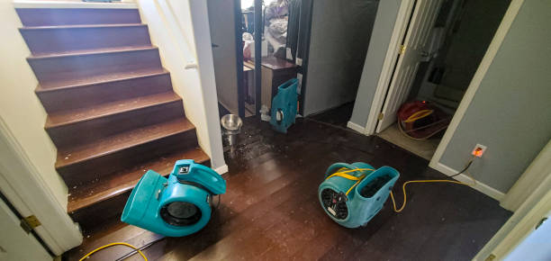 Best Ceiling water damage repair  in Jackson, MN