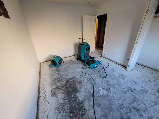 Best 24-hour water damage restoration  in Jackson, MN