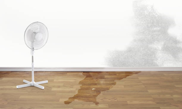 Fire Damage Restoration in MN