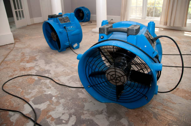 Best Emergency water extraction  in Jackson, MN