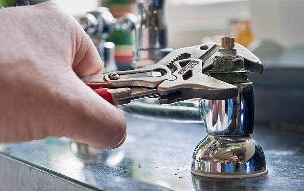 Best Professional water damage repair  in Jackson, MN