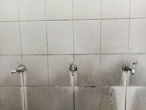 Best Water damage cleanup near me  in Jackson, MN